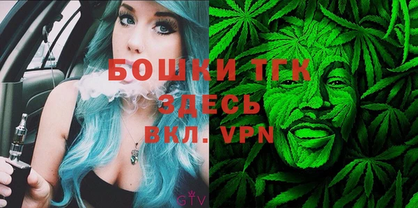 прущие грибы Алексин