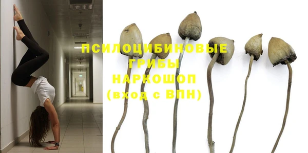 твердый Алагир
