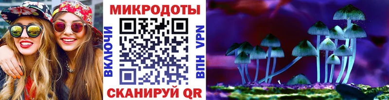 MEGA онион цена наркотик Александровское Псилоцибиновые грибы GOLDEN TEACHER